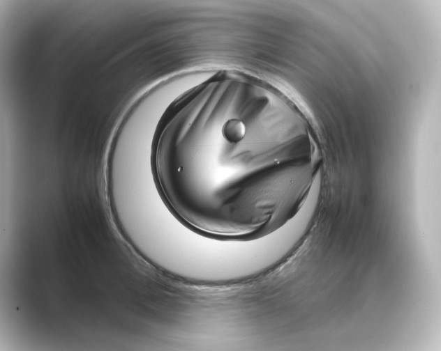 X0000088740996200706212053