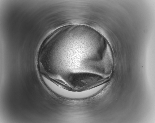 X0000088740997200706212053