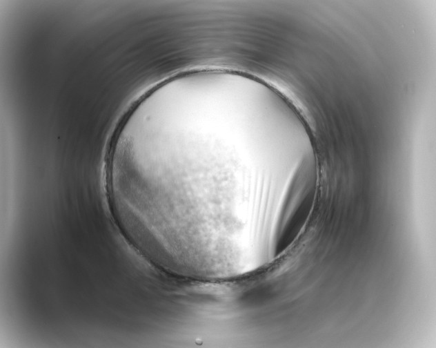 X0000088740998200706212053
