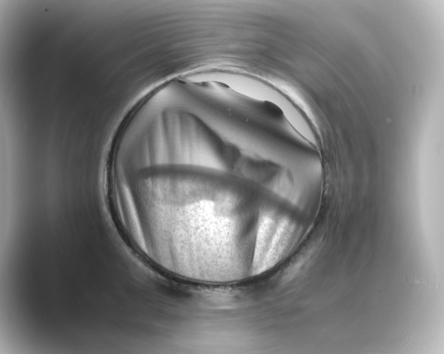 X0000088740999200706212053
