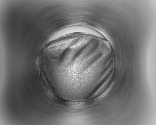 X0000088741001200706212053