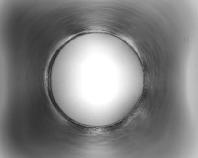 X0000088741003200706212053