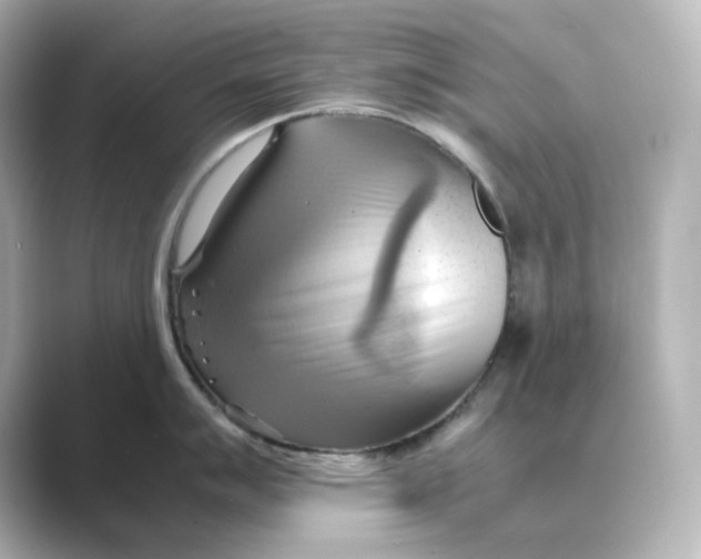 X0000088741007200706212053