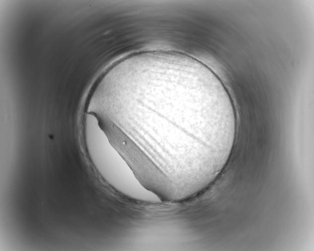 X0000088741008200706212053