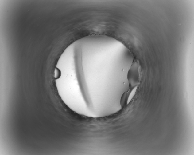 X0000088741009200706212053