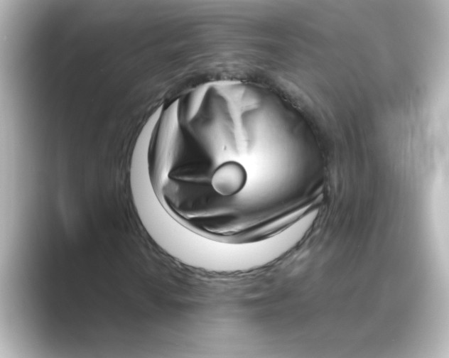 X0000088741010200706212053