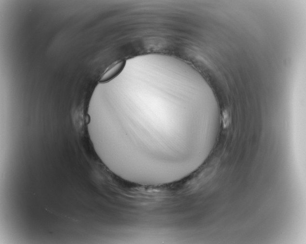 X0000088741011200706212053