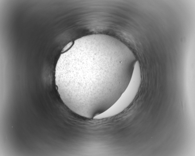 X0000088741012200706212053