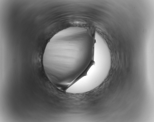 X0000088741013200706212053