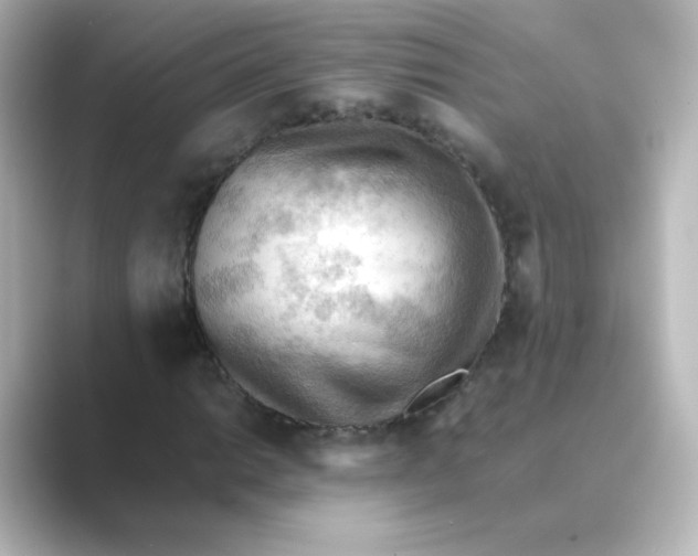 X0000088741014200706212053