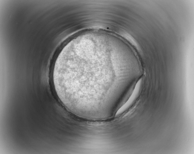 X0000088741020200706212053