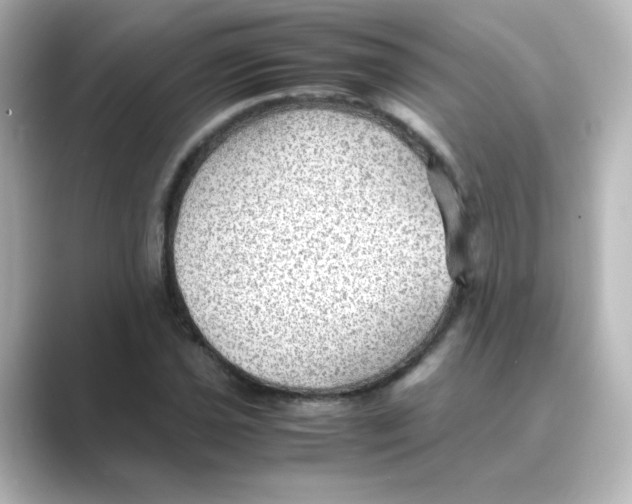 X0000088741021200706212053