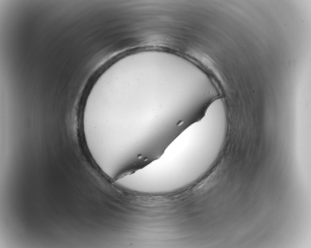 X0000088741024200706212053