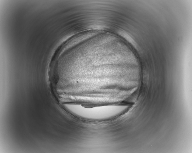 X0000088741026200706212053