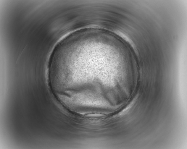 X0000088741029200706212053