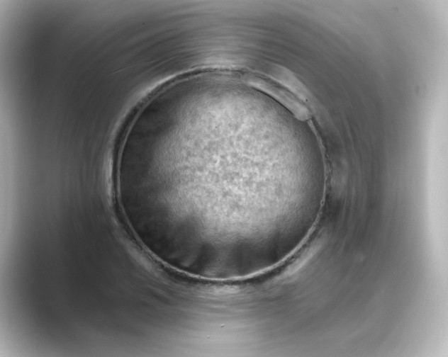 X0000088741030200706212053