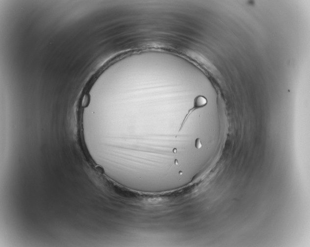 X0000088741031200706212053