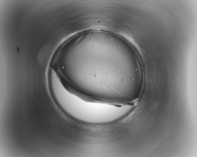 X0000088741032200706212053