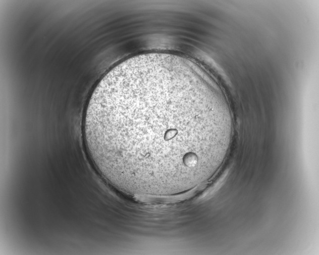 X0000088741033200706212053