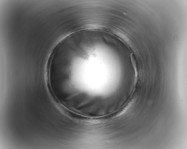 X0000088741034200706212053