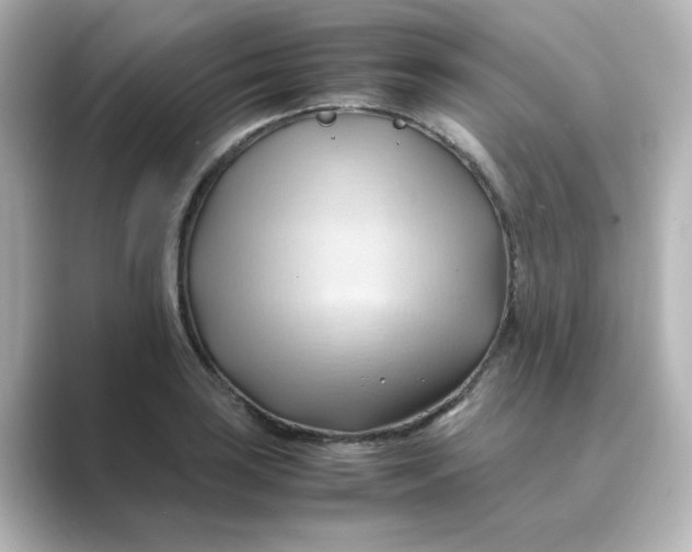 X0000088741035200706212053