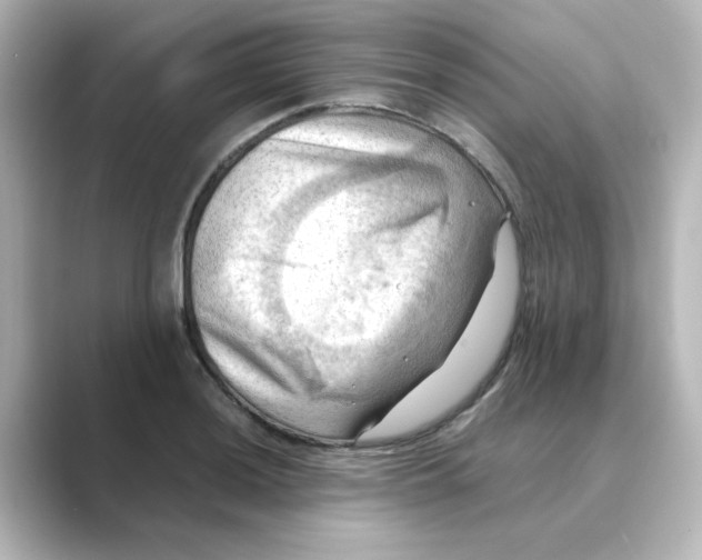 X0000088741036200706212053