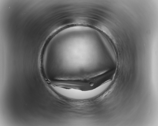 X0000088741037200706212053
