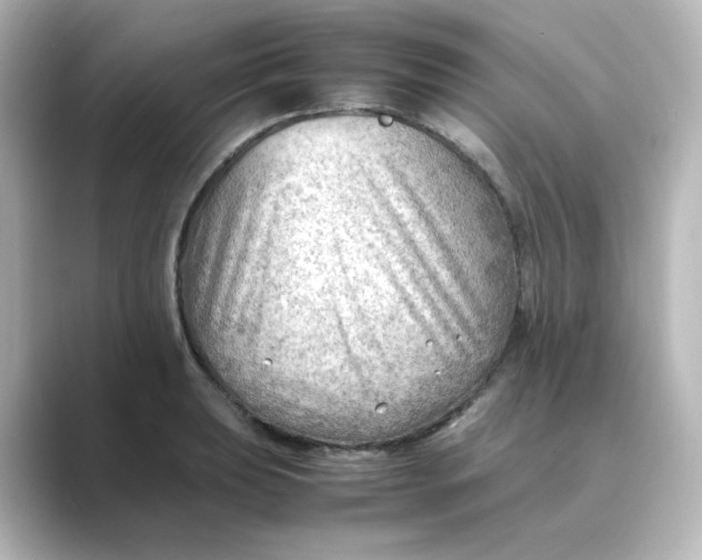X0000088741039200706212053