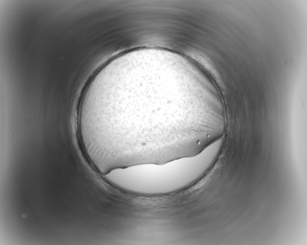 X0000088741040200706212053