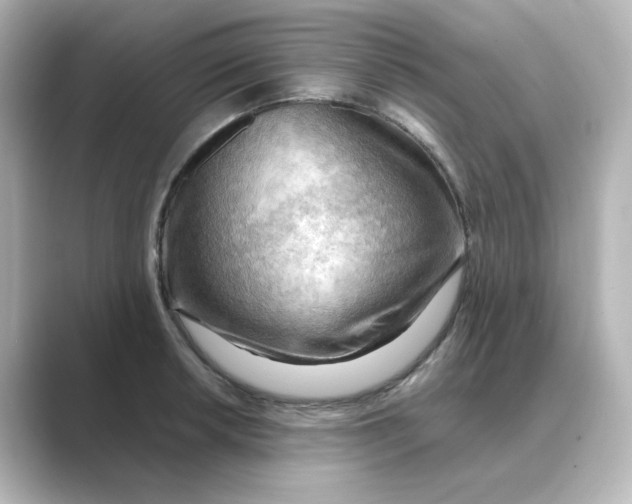 X0000088741042200706212053