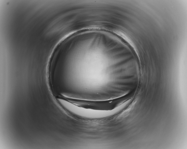 X0000088741045200706212053