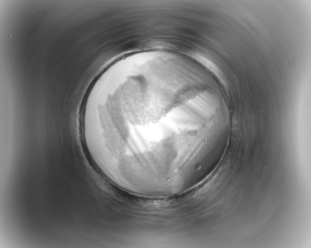X0000088741047200706212053