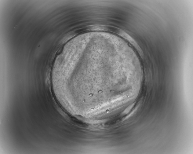 X0000088741049200706212053