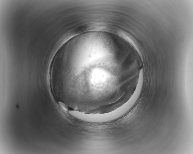 X0000088741050200706212053