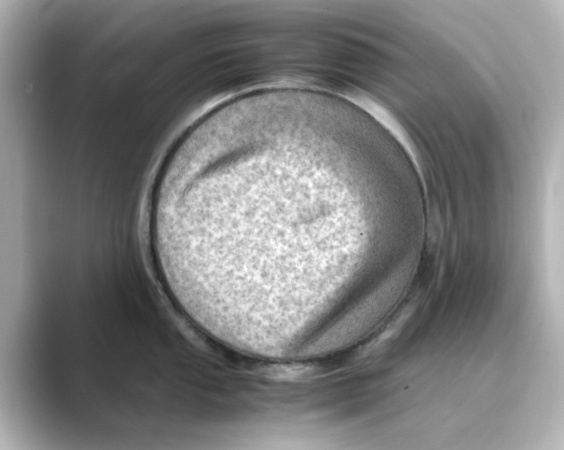 X0000088741053200706212053