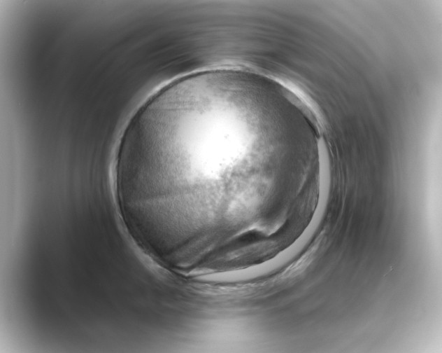 X0000088741054200706212053