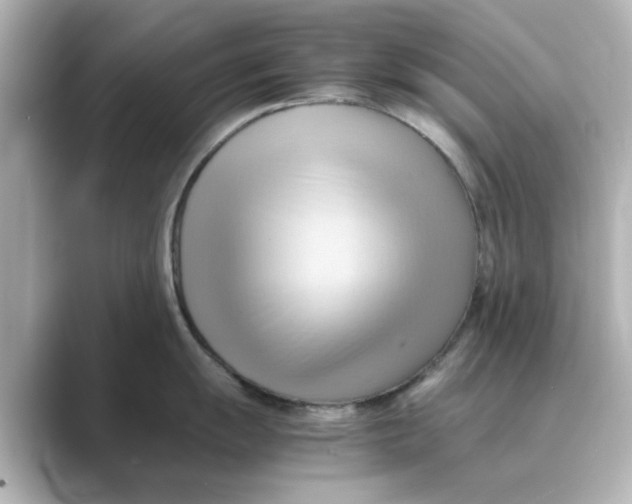 X0000088741055200706212053