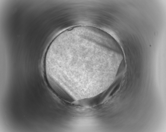 X0000088741056200706212053