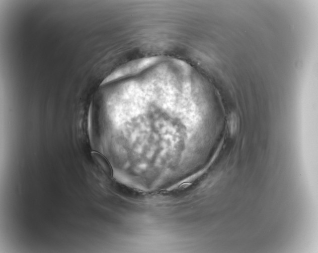X0000088741059200706212053