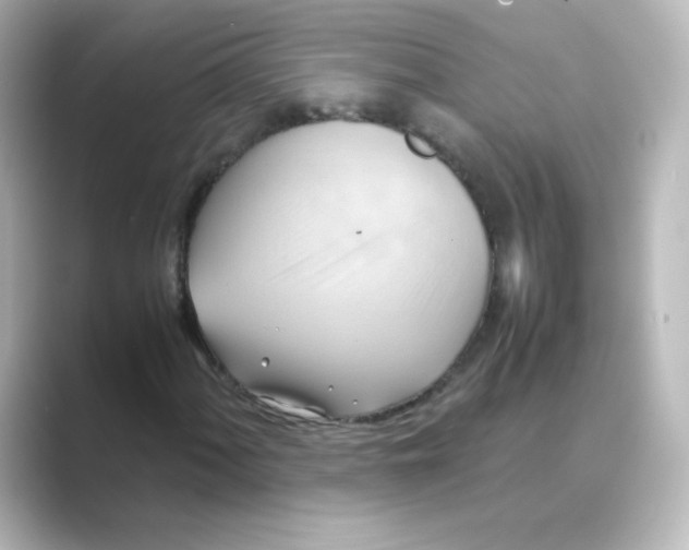 X0000088741060200706212053
