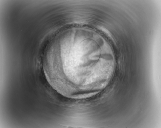 X0000088741064200706212053