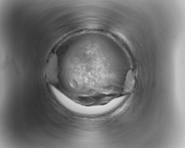 X0000088741065200706212053