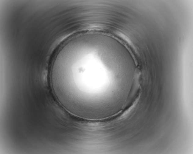 X0000088741066200706212053