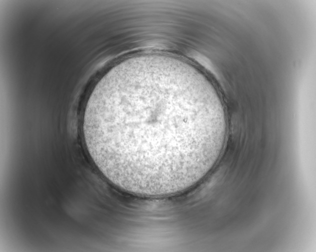 X0000088741067200706212053