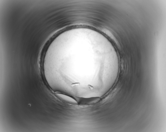 X0000088741068200706212053