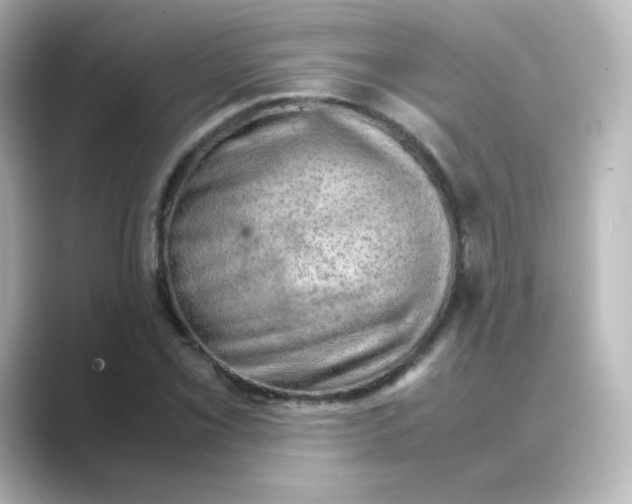 X0000088741069200706212053