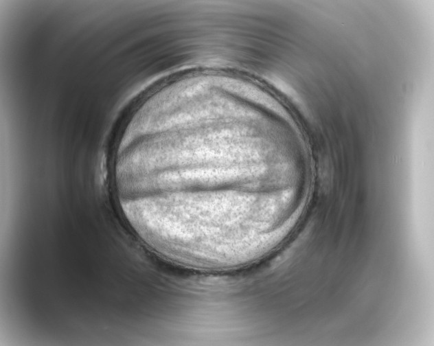 X0000088741070200706212053