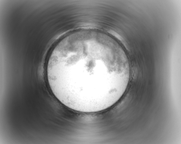 X0000088741074200706212052