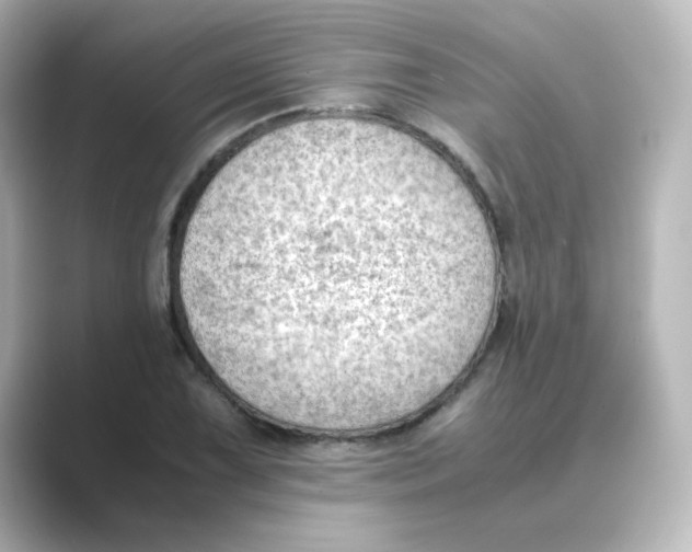 X0000088741075200706212052