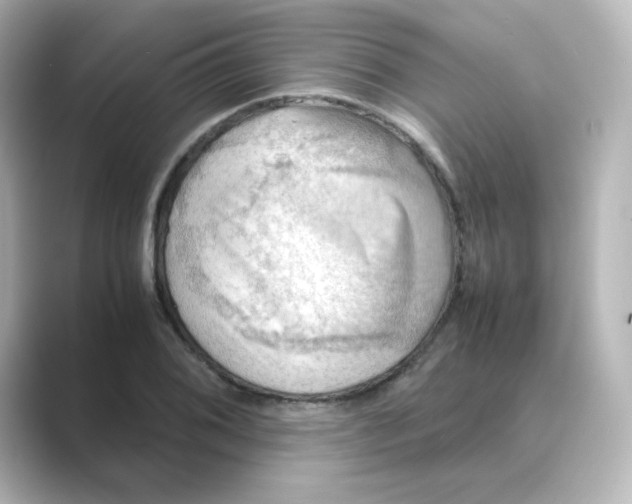 X0000088741076200706212052
